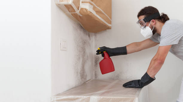 Professional Crawl Space Mold Remediation technician working in Union, MI