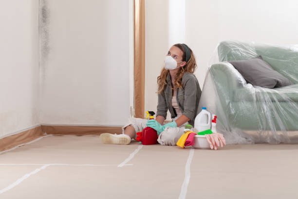 Reliable Crawl Space Mold Remediation contractor in Union, MI by 24 Hour Mold Removal