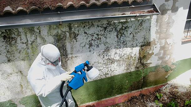 Top rated local Crawl Space Mold Remediation specialists in Union, MI